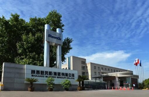 【陜鼓集團(tuán)】陜鼓集團(tuán)上榜“2022年度中國(guó)鋼鐵品牌榜”，獲“卓越鋼鐵技術(shù)與服務(wù)供應(yīng)商品牌”榮譽(yù)稱號(hào)